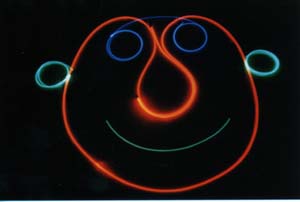 Plant shelf example2