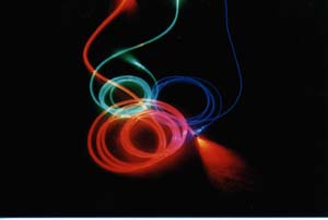 Plant shelf example1